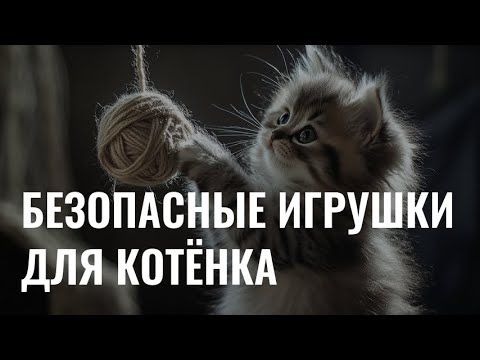 Как выбрать безопасные игрушки для котёнка?