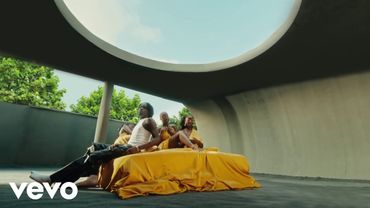 Fireboy DML, Seun Kuti - ecstasy (Official Video)