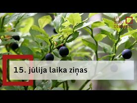15. jūlija laika ziņas