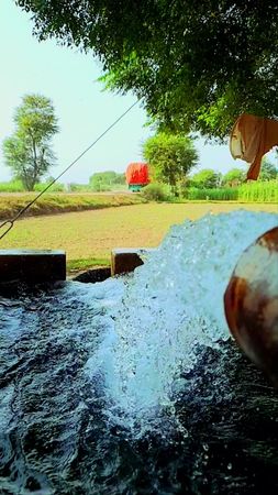 #pind #tubewell #punjabisong #evening  #view #2023 #pakistan 