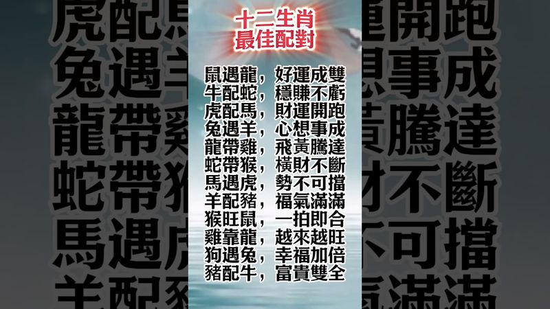 《十二生肖最佳配對！福氣財運一拍即合》#生肖 #財運  #風水 #命理  #shorts #玄學