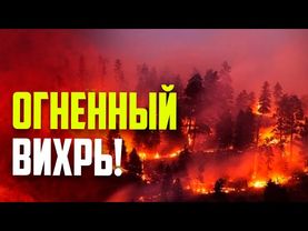 Лесной пожар в США вышел из-под контроля