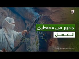 جربت استخرج عسل بري من كهوف سقطرى | جذور من سقطرى مع سمية جمال بلقيس | حلقة 04