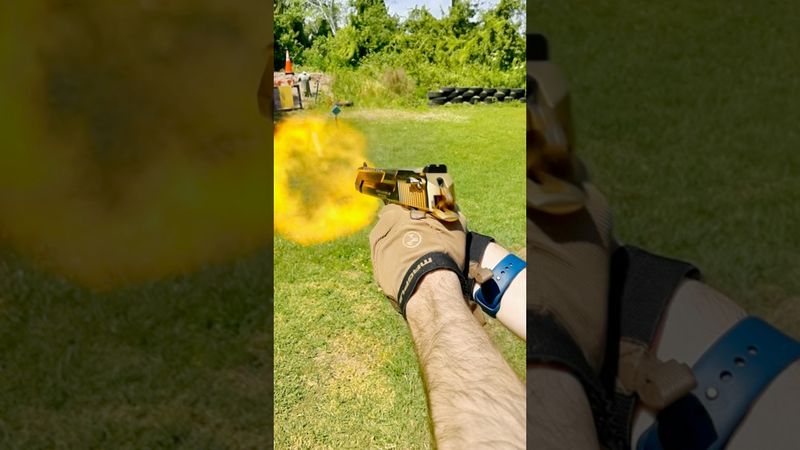 Guns in Motion™️