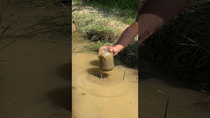 Amazing Way to Purify Dirty Water — This Could Save Your Life! #campping #lifehacks #survival