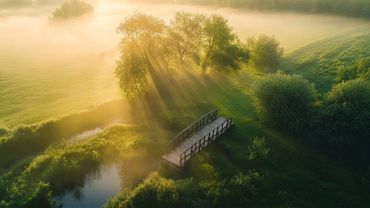 Dreaming | 10 Hours of Relaxing Sleep Music for Deep Sleep