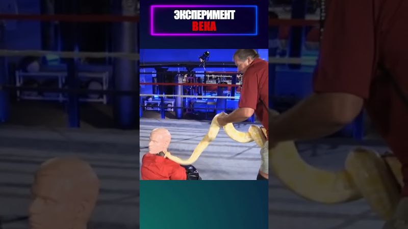 Фёдор так сжал манекен, что удаву стало стыдно за свою профессию. 😂💪🐍 #shorts