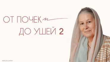 ОТ ПОЧЕК ДО УШЕЙ