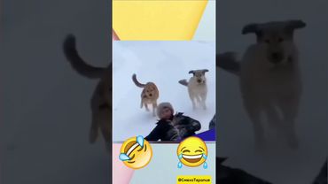 Когда просто хотел покататься, а жизнь — нет 😭🤣 #зима #смешно #motivation #shorts #facts #lifehack