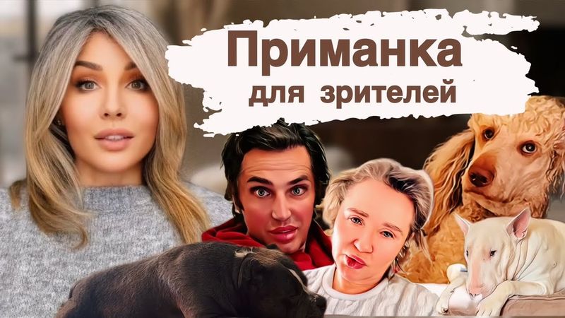 Руся в Америке 🇺🇸 Собаки как приманка #русяinamerica #русявамерике #рустамсолнцев #фрикиютуба #дом2