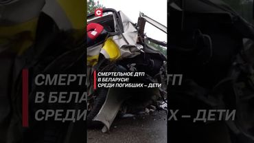 Смертельное ДТП в Беларуси! #авария #чп #дтп #беларусь #трагедия #катастрофа #дорога #новости