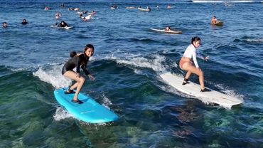 КАК РОСТУТ РОГА - ВОЛНЫ АЛЕНИЗМА