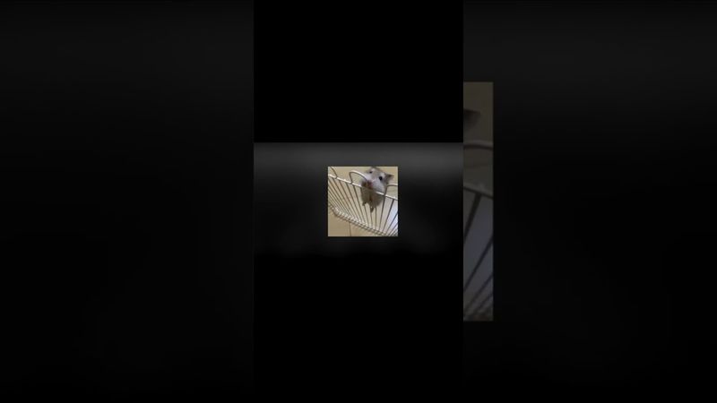 Було б сумно померти таким молодим.