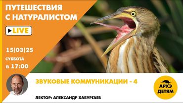 Занятие "Звуковые коммуникации — 4" рубрики "Путешествия с натуралистом" с Александром Хабургаевым
