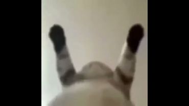 AQUI ESTA TU VIEJA IDIOTA!!! MIRA COMO ME LA CACHO!!! TOME SEÑORA!!!! TOMEEEEE