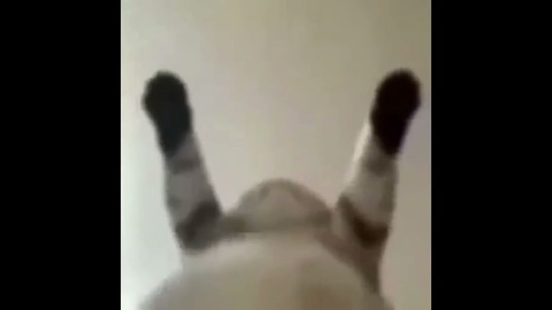 AQUI ESTA TU VIEJA IDIOTA!!! MIRA COMO ME LA CACHO!!! TOME SEÑORA!!!! TOMEEEEE