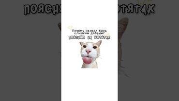 Почему нельзя быть слишком добрым?