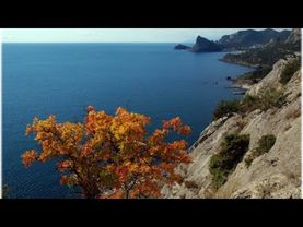 Доброе утро из чудесного Крыма:)