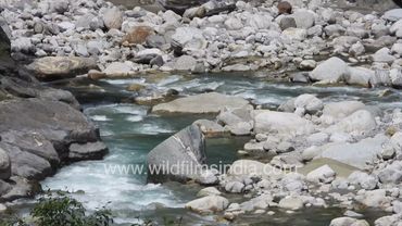 Pindar and Sunderdhunga river confluence near Wacham village, Jageshwar and Almora, Uttarakhand