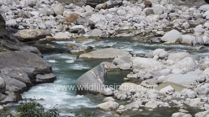 Pindar and Sunderdhunga river confluence near Wacham village, Jageshwar and Almora, Uttarakhand