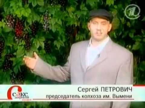 Большая разница - Секс с Анфисой Чеховой (2 выпуск)