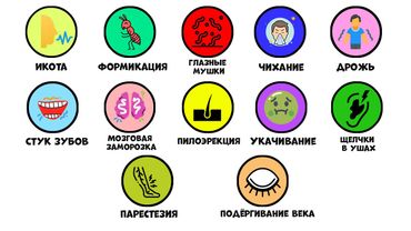 Все глюки тела за 12 минут