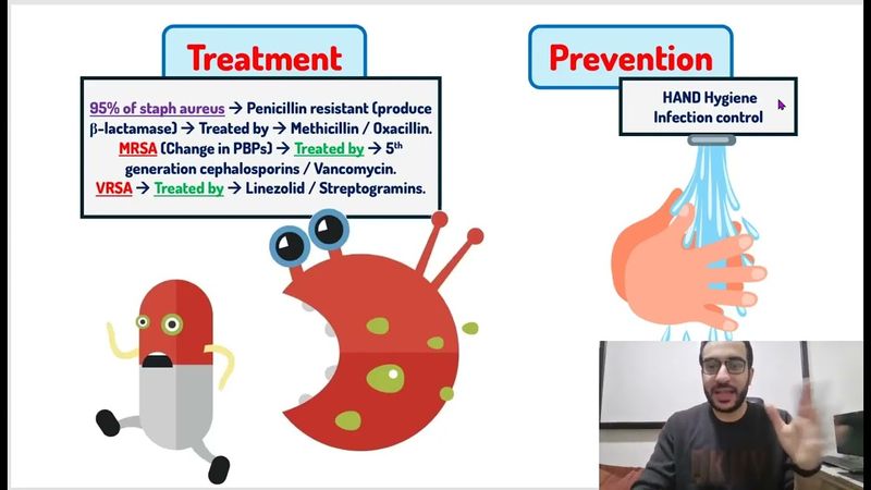 Bacteriology Crash Course
