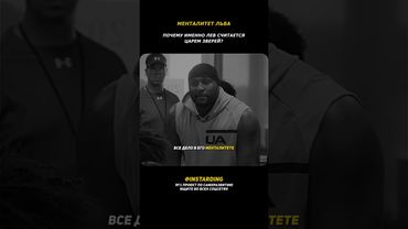 Почему Лев — Царь Зверей? Лучшая Мотивация на Успех!