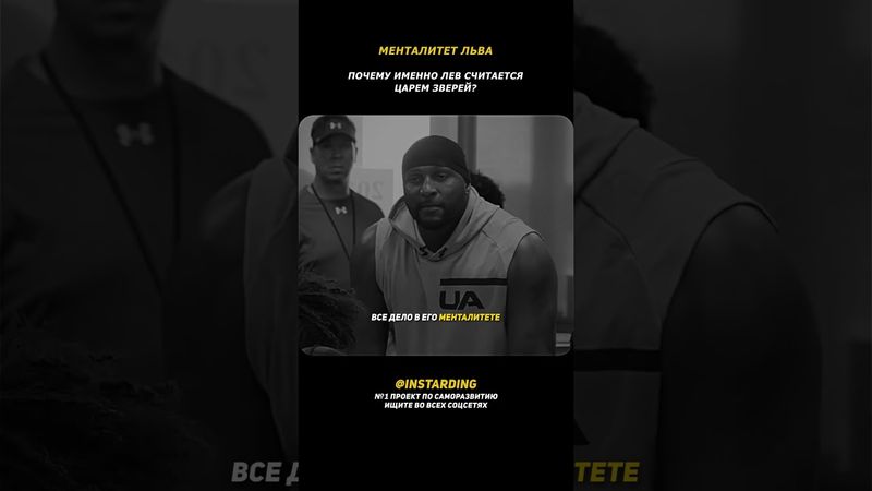 Почему Лев — Царь Зверей? Лучшая Мотивация на Успех!