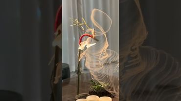 人生只活幾個明媚的瞬間，譬如這霧繞，瞬時即散 #東方美學 #治癒系生活 #禪意生活 #宮廷制香 #正能量 #玄學 #生肖運勢 #國學文化 #道家文化 #民間傳說