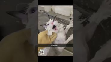 Çünkü daha önce hiç yorum yok ve