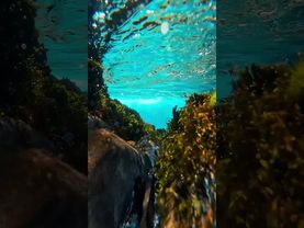 凡事都有两面性！换个角度去看看！你会看到不同的答案！接了！转发！功德无量！#正能量 #两面性 #积极心态 #人间清醒 #人生感悟 #治愈系风景