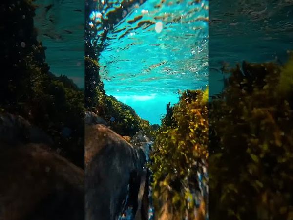 凡事都有两面性！换个角度去看看！你会看到不同的答案！接了！转发！功德无量！#正能量 #两面性 #积极心态 #人间清醒 #人生感悟 #治愈系风景