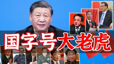 习近平的政敌们 （已陨落）