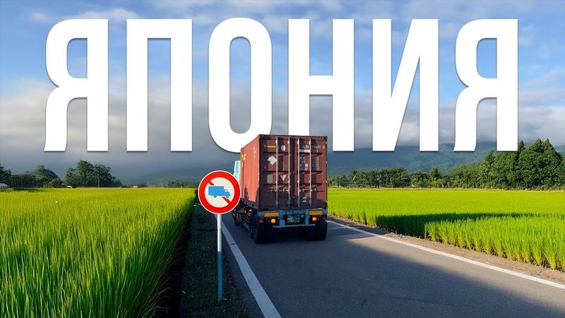 Drove past a prohibited sign | Driver in Japan