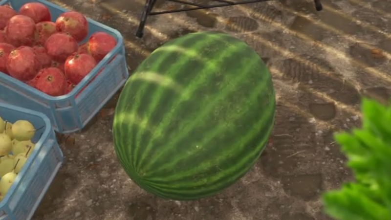 Как я провел лето 🍉
