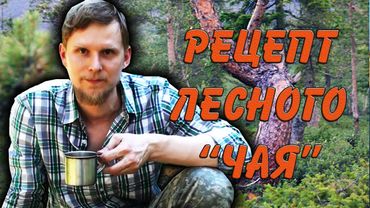 РЕЦЕПТ лесного ЧАЯ "Тайга".