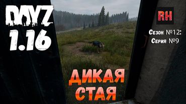 DayZ 1.16 Сервер БДСМ: Сезон №12 , серия №9 - Дикая стая! [4К]