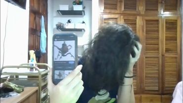 Detonando a la tetera del alice madness porque sigo a marketing con melissa