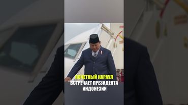 Президент Индонезии прибыл в Санкт-Петербург