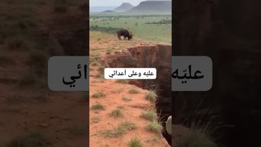 إذا كانت خسارتك حتمية فلا تجعلها مكسبا لأحد