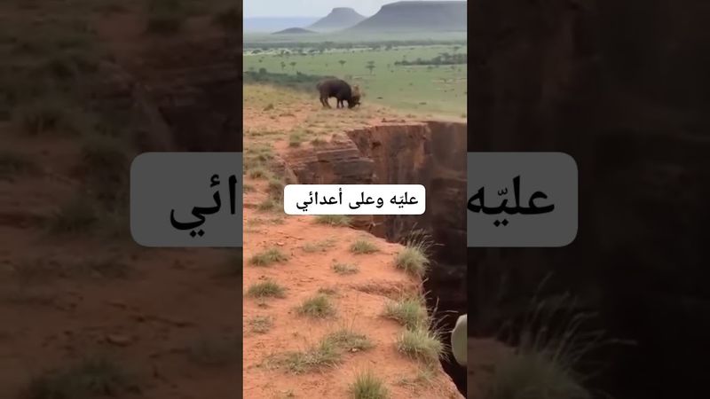 إذا كانت خسارتك حتمية فلا تجعلها مكسبا لأحد