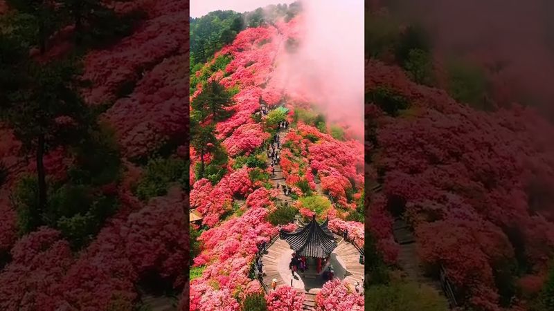 موسيقى رومنسيه هادئة