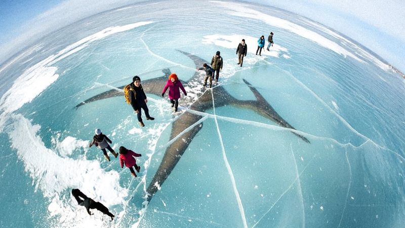 Древнее существо обнаружено подо льдом и другие редкие научные находки