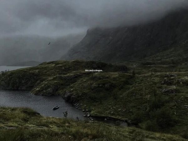 #fantasy #httyd #dragon #pinterest #foryoupage 