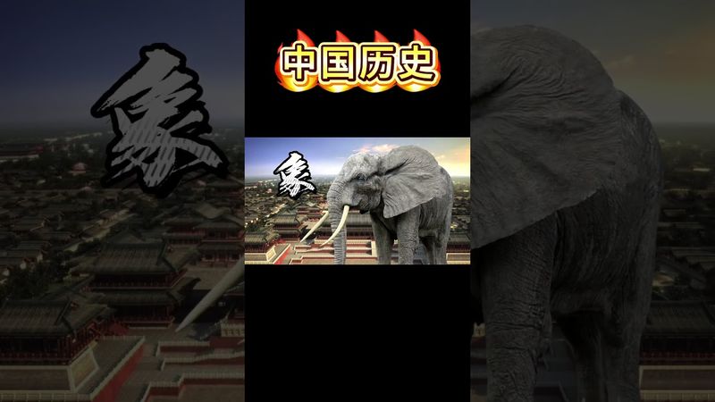《中國歷史》把各個朝代，比作動物！你是什麼想法？#歷史 #中華文化 #朝代 #唐朝 #明朝 #運勢 #正能量 #人生感悟 #分享 #歷史考古 #中國歷史人物