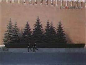 Cмена караула у Мавзолея  на Красной площади