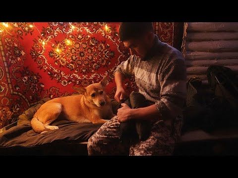 НА НОЧЁВКУ В ХИЖИНУ ВМЕСТЕ С ПЁСЕЛЕМ. ТЕПЛО И УЮТНО, А ВОКРУГ ЛЕС, ЗИМА!