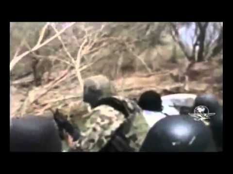 Marinos descubren campamento Zeta en presa falcon