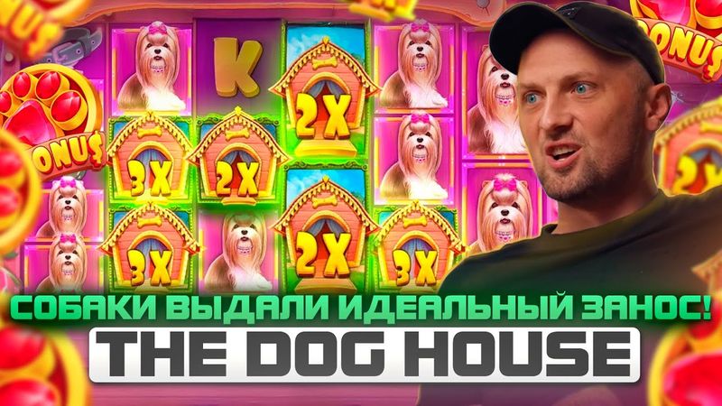 ЗУБАРЕВ. THE DOG HOUSE ВЫДАЛ СОЛИДНЫЙ ЗАНОС! Заносы Недели.#zubarefff #Zloy #Трепутин